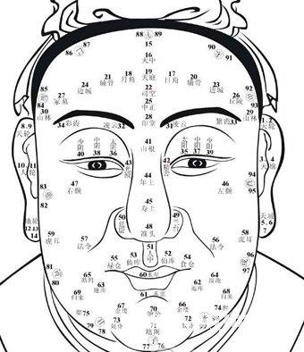 面相额头算命图解_十二生肖网