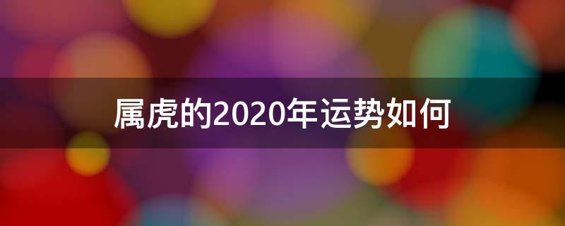 属虎的2023年运势如何