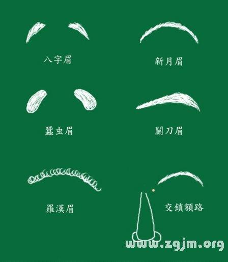 峰生水起面相学第09课眉毛看相