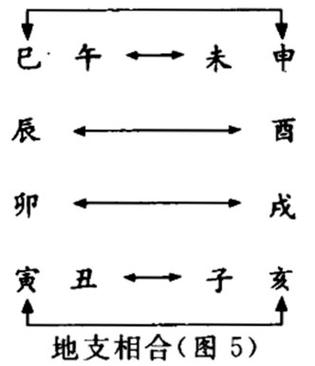 地支相合相冲相刑相害